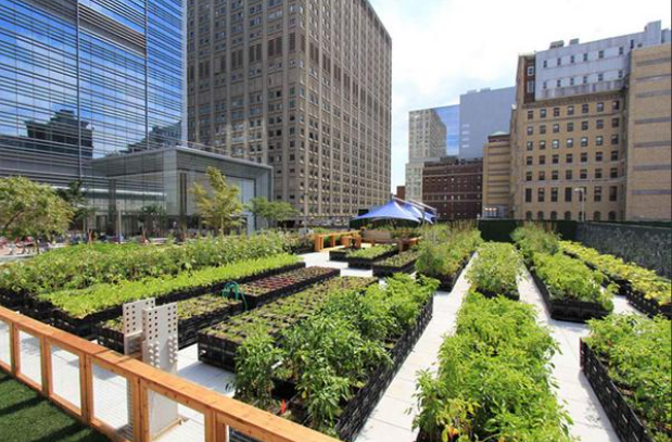 Screenshot 2025 07 19 131058