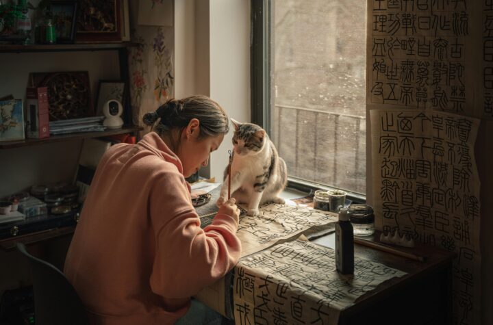 Pexels Jesserphotonyc 30913847