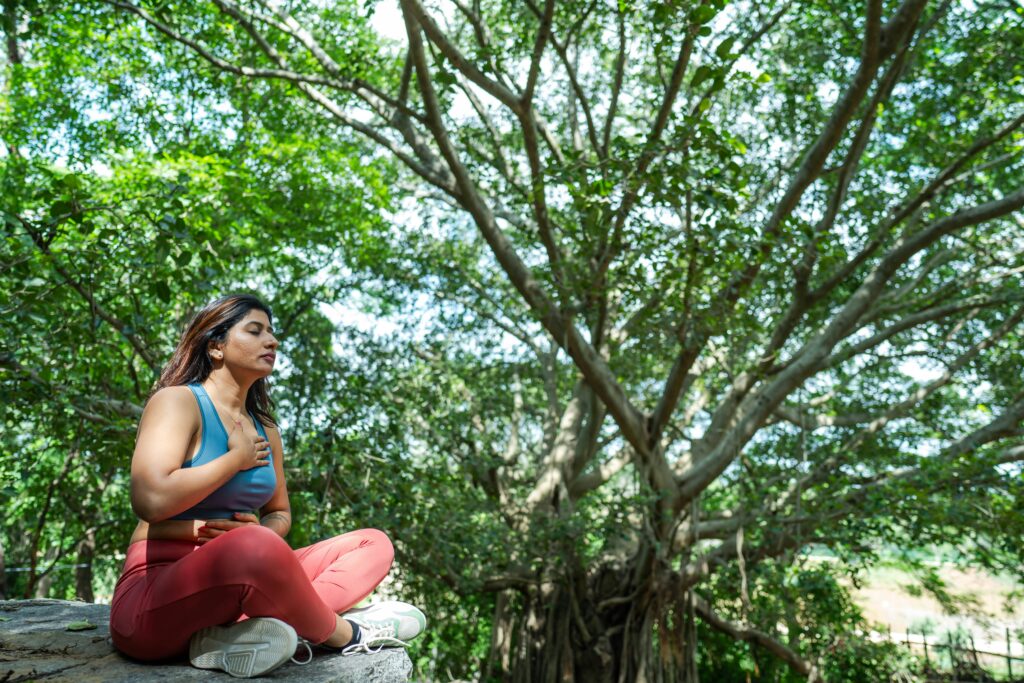 Pexels Shootsaga 32847437