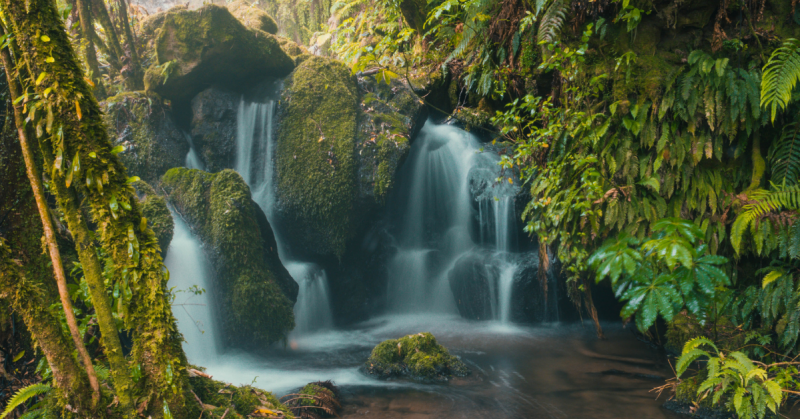 Sustainable Ecotourism Benefits