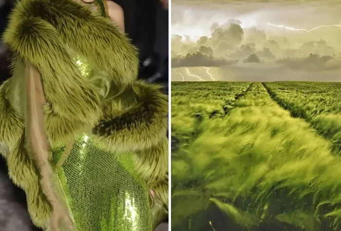 Fashion Inspired By Nature 46504